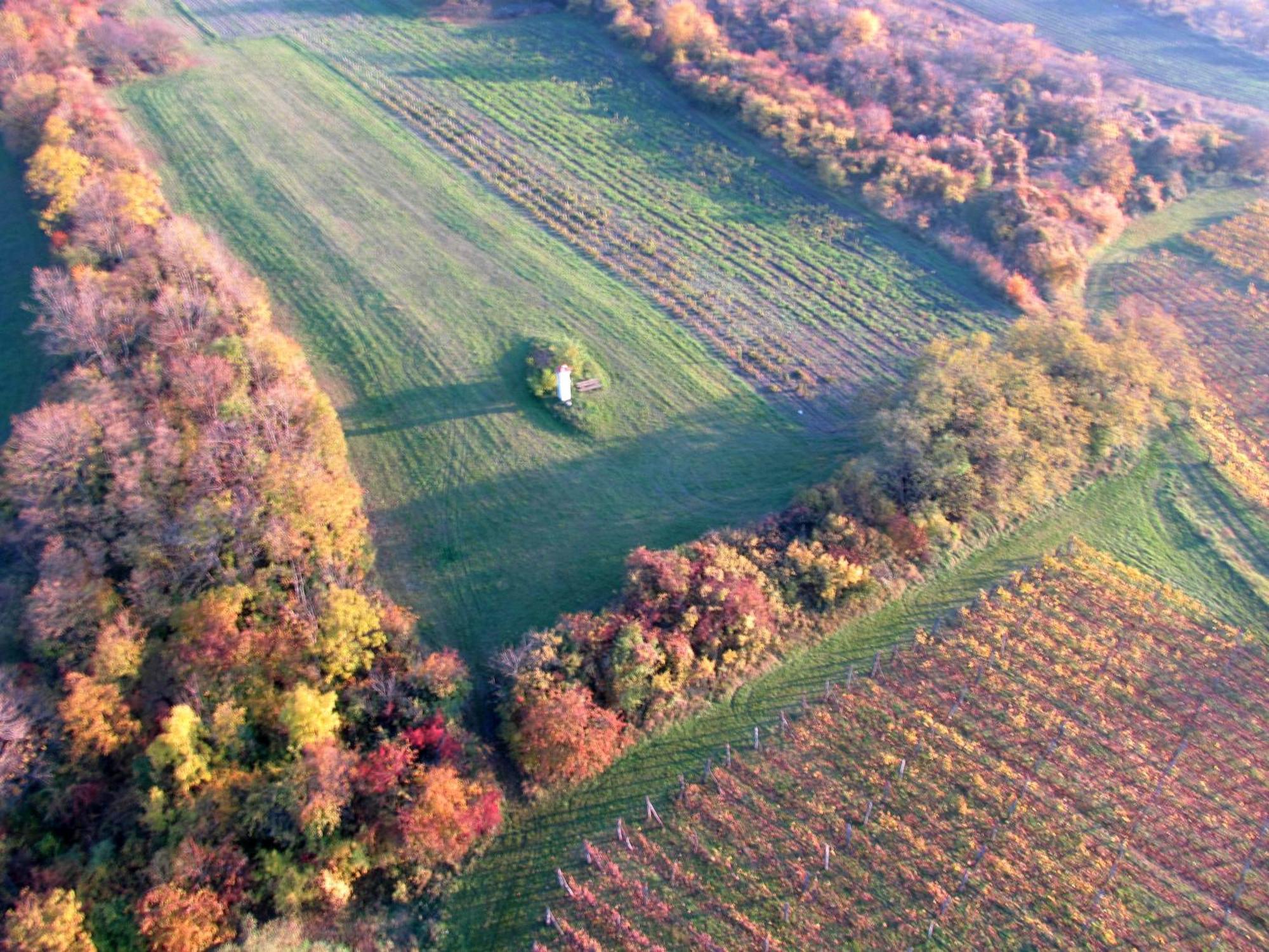 Villa Dum Palava Perná Esterno foto